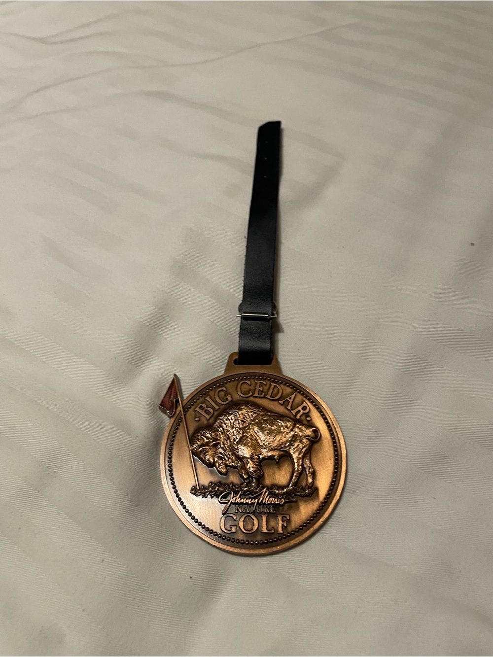 Big Cedar Golf (Missouri) Bronze Metal Bag Tag 3" Payne's Valley